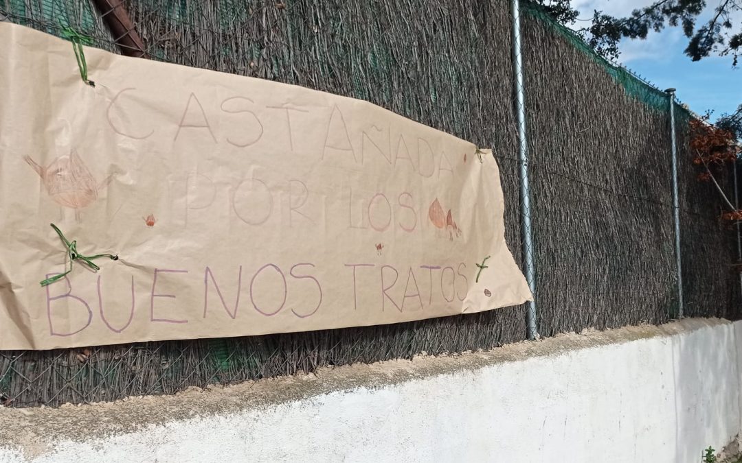 Castañada por los buenos tratos. Nov 2022