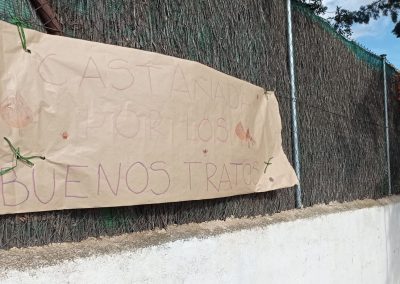 Castañada por los buenos tratos. Nov 2022